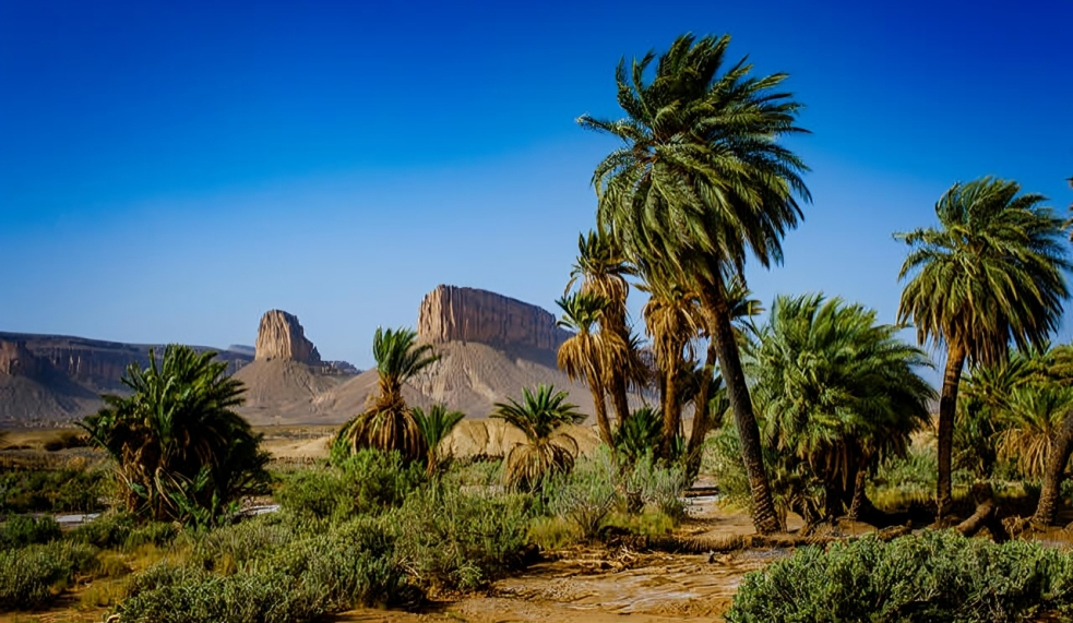 Excursion to the Oasis of Laarjimia from Foum Zguid 